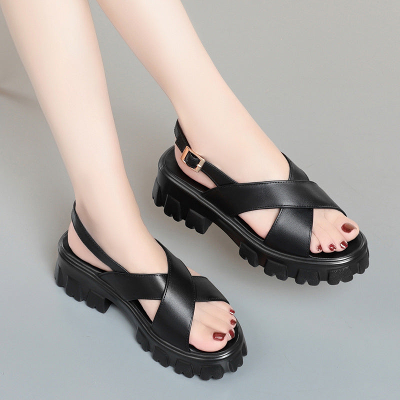 Martin Heels
