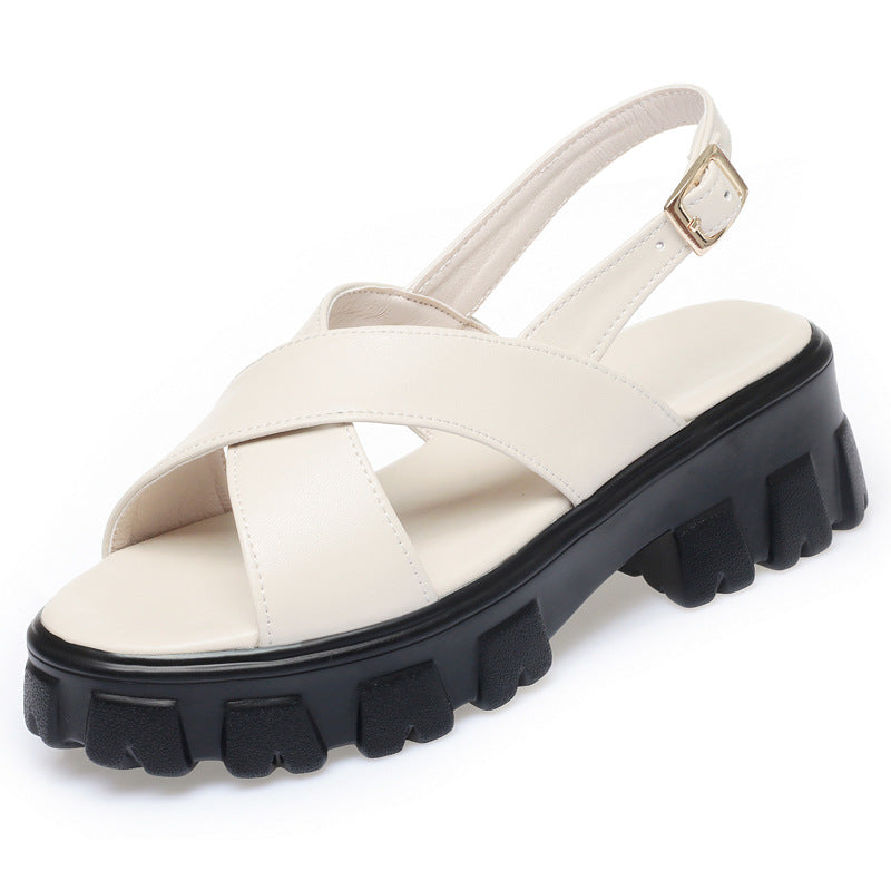 Martin Heels