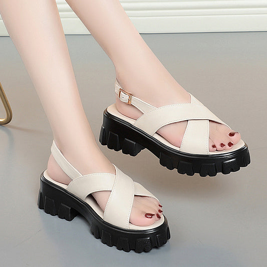 Martin Heels