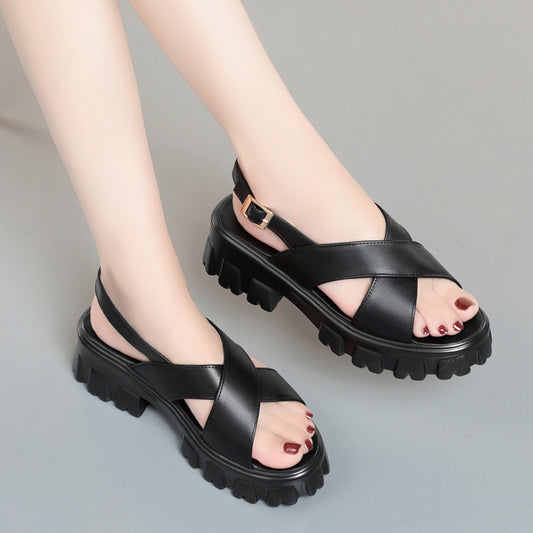 Martin Heels