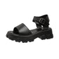 Martin Heels